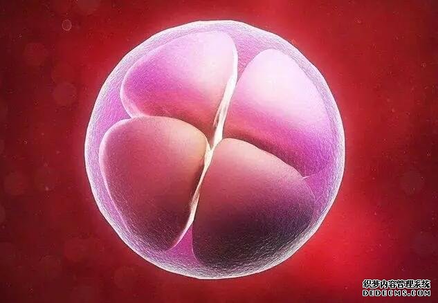 石家庄有做代孕的医院吗 石家庄省二院试管婴儿手术成功率怎么样？ ‘看男孩女孩做b超能看出来吗’