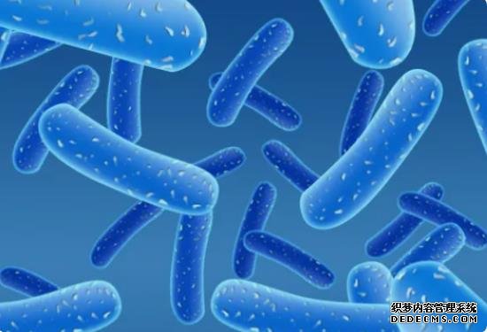 15个数据信号暗示你怀孕了,怀孕期间超精确预测分析