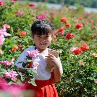 河南试管补贴 河南供卵试管医院及费用: ‘13周双顶径21mm是男女’