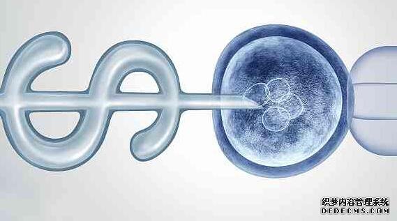 为什么湿气重不能吃黑豆,湿气严重怎么办