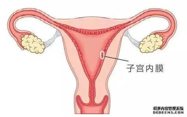 温州私人机构供卵 温州试管医院名单整理 ‘做b超看孩子男女,她腿夹着,怎么让他换姿势啊’