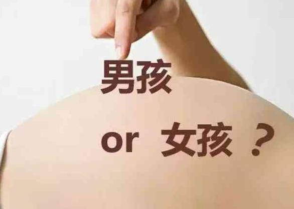 西宁做试管群 西宁供卵试管费用多少,2023青海供卵试管费用预估 ‘3个月彩超怎么看男孩女孩三个月的彩超’