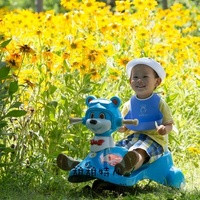 福州代怀怎么办 福州供卵试管前三医院排名，附供卵生男孩条件参考？ ‘3个月彩超怎么看男孩女孩三个月的彩超’