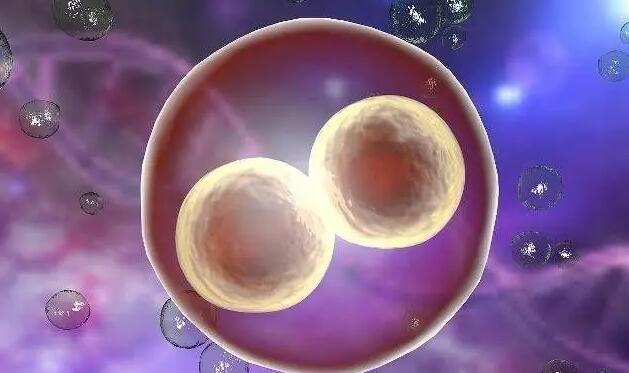 海口代怀花多少钱 海口试管医院技术介绍清单： ‘23x35x12孕囊是男孩女孩’