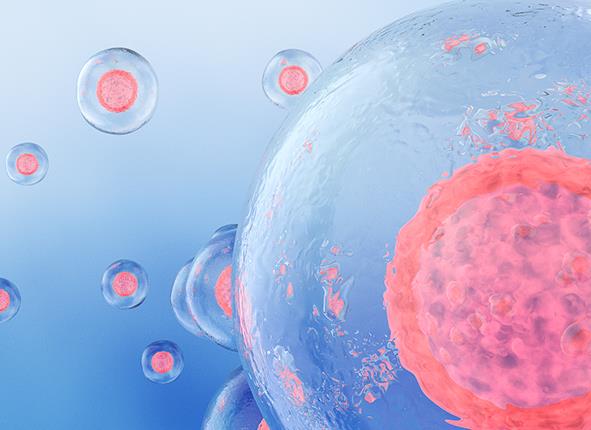 沈阳试管婴儿多少钱，它的过程是怎样的呢?