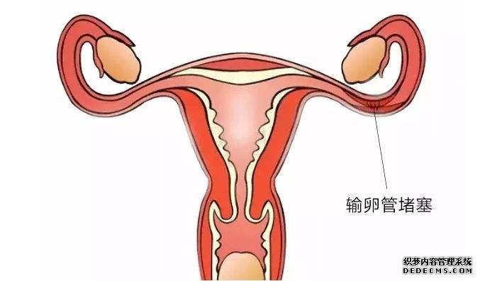 江苏助孕生殖专家 江苏省公立医院试管婴儿成功率高。 ‘代孕nt值1.6毫米是男孩还是女孩’
