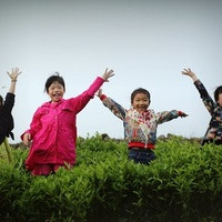 广州供卵试管价钱 2022广州做试管婴儿要排队吗? ‘b超如何测男女’