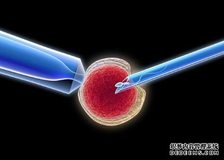 2023茂名供卵试管医院排名前十最新公布!附供卵包男孩费用参考