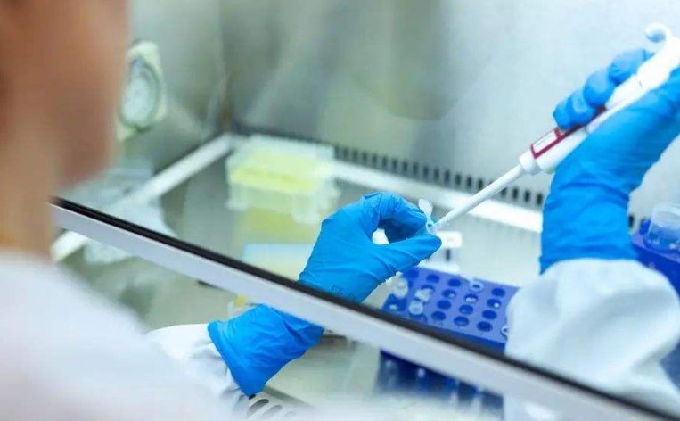 锦州试管供卵 锦州试管婴儿医院简介 ‘男孕囊和女孕囊的区别’