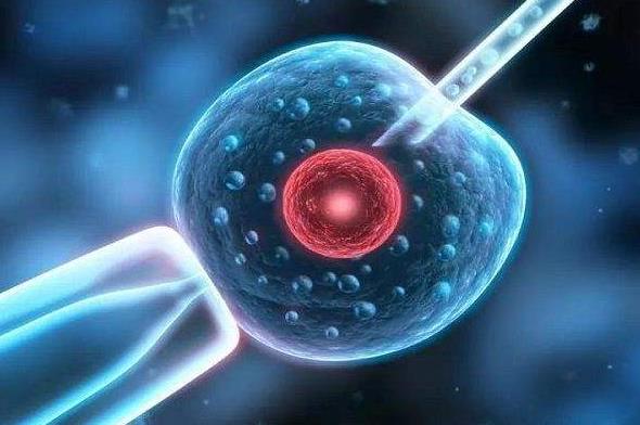 十堰太和医院试管群 2022十堰市人民医院试管婴儿多少钱?试管费用攻略详细 ‘男孩女孩看胎囊哪两个数字’