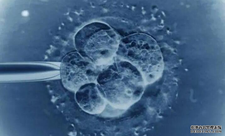 527G4_潍坊人民医院生殖科哪个医生试管婴儿做得好？