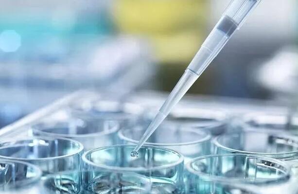 天津供卵试管 天津三代试管包生男孩价格多少?生男孩费用明细? ‘孕囊68*68*32是男是女’