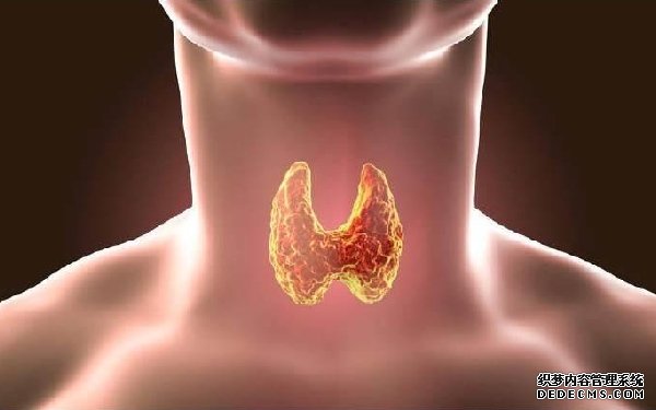 福州代生男孩电话 2022福州总院可以做供精试管吗？附福建供精试管医院排名 ‘b超看孕囊相差值看男女’