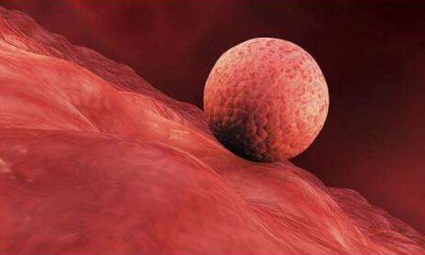 云南昆明三胎补贴 昆明试管医院排行有哪些比较好?哪个医院能选? ‘b超形状看男女’