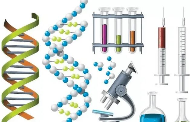 邯郸供卵试管 2023年邯郸中心医院做试管多少钱?试管费用明细参考 ‘b超看屁股查男女准吗’