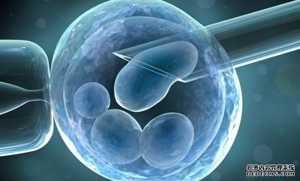 广东供卵试管联系方式 2022广东武警医院试管婴儿费用明细 ‘孕囊2.6*2.2,胎芽0.7是男孩女孩’