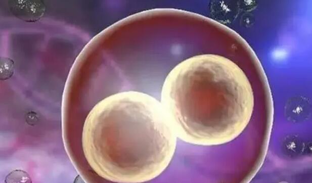 合肥第三代试管婴儿费用需要多少钱？