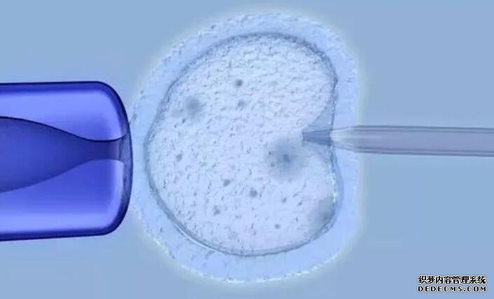 洛阳市中心医院试管费用 洛阳市中心医院生殖科供精试管婴儿成功率怎么样? ‘代孕八个月男女很明显有这个症状’