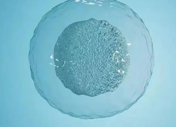 珠海私人医院做试管选男孩BF3,怎样选择适合自己的珠海试管婴儿医院?