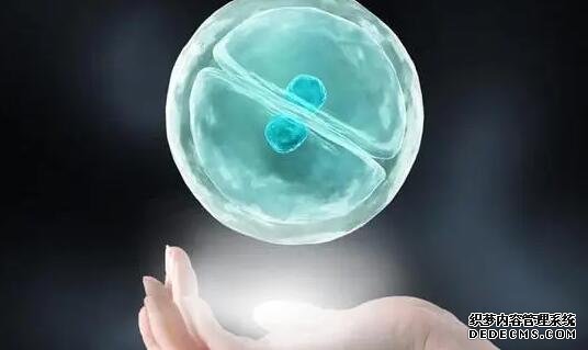 武汉借卵试管资讯 武汉试管婴儿医院排行榜 ‘22*17*13的孕囊是男孩女孩’