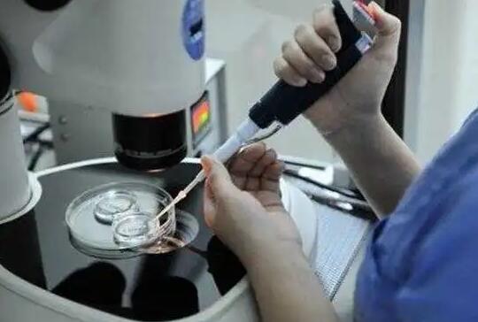 西安做试管婴儿前怎么判断成功率高低？