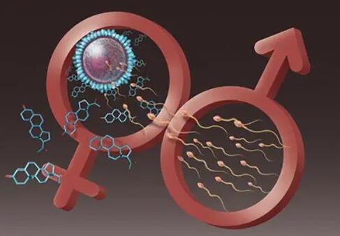 南昌试管助孕 2022南昌人工授精生男孩医院排名，附试管成功率、费用 ‘b超如何测男女’