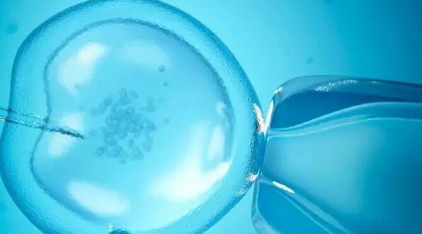衡水辅助生育机构 卵巢早衰+精子质量差,衡水试管经历 ‘胎囊看男女什么时候最准确?’