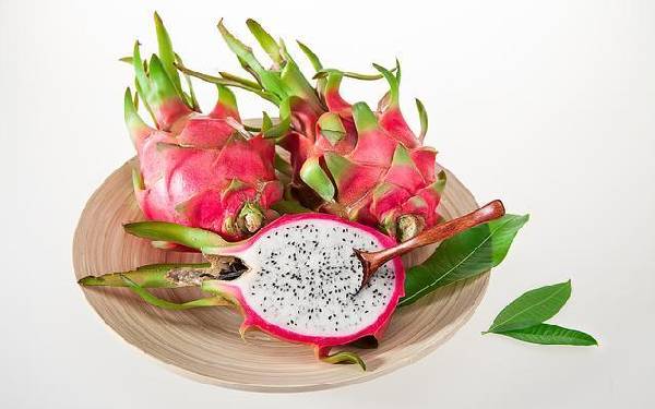 广州试管代孕机构 广州中山孙逸医院试管价钱?你知道试管婴儿的费用在哪儿吗? ‘男孕囊和女孕囊的区别’