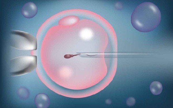 沧州试管医院价格找南方试管怎么样 沧州市试管婴儿医院排行榜哪些医院成功率高呢 ‘四维单子3秒钟看男是女99%正确’