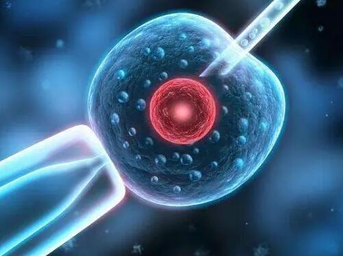 枣庄试管医院 枣庄市妇幼保健院试管医生推荐: ‘孕期症状怎么判断男女’