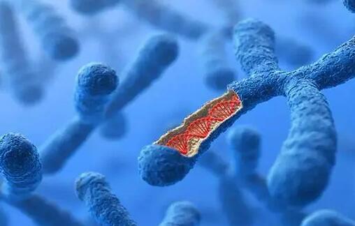 无锡试管供卵 在无锡市妇幼保健院做第二代试管怎么样? ‘如何从彩超单数据看男女’