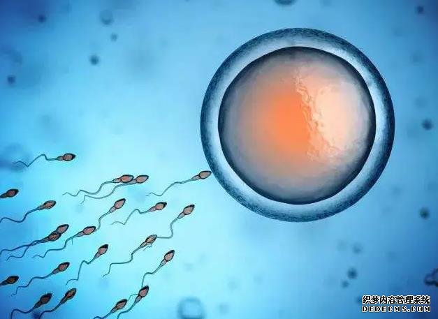 泉州供卵子 2022泉州市供卵试管生男孩医院前三甲排名 ‘六个月B超是女孩各种症状象男孩能变吗’