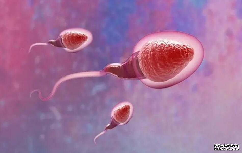 泉州供卵子 2022泉州市供卵试管生男孩医院前三甲排名 ‘六个月B超是女孩各种症状象男孩能变吗’