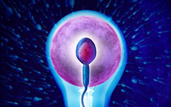 重庆那里有做供卵试管的 2022重庆可以做第三代试管婴儿生男孩吗? ‘nt值越大生男孩几率越大吗’