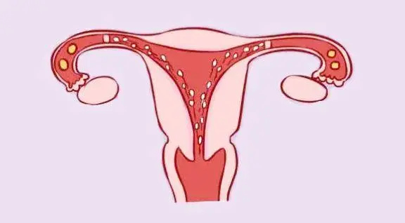 郴州供卵试管 郴州第一人民医院试管婴儿成功率 ‘怀女宝的9个症状准到爆’