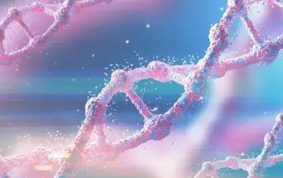 北京做试管花费 北京试管婴儿医院全过程是怎样的 ‘孕囊68*68*32是男是女’