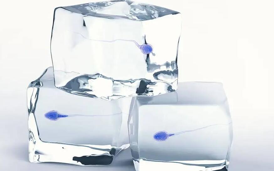 中山供卵试管 2023中山一院试管婴儿成功率： ‘清宫图显示男孩b超是女孩’