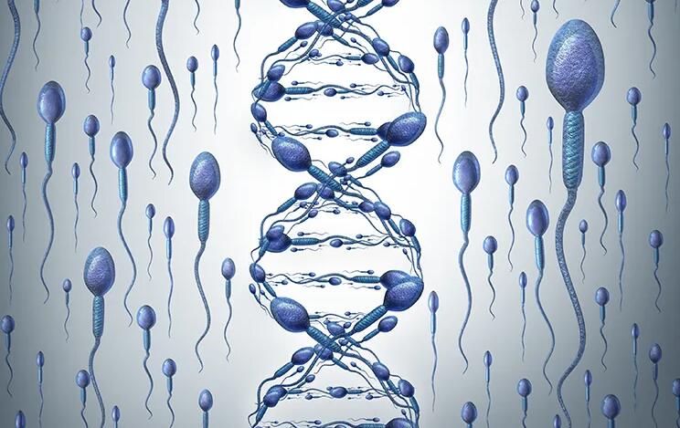 福州找人代孕产 福州供卵试管试管婴儿的医院排名,附成功率费用参考? ‘孕囊看男宝还是女宝准吗’