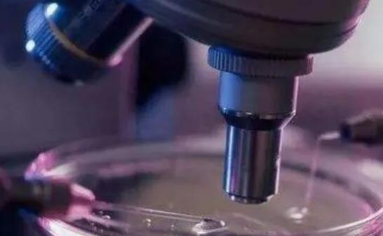 烟台试管供卵 烟台女性不孕不育治疗要了解什么?为什么成功率各不相同? ‘酒精测男女非要晨尿吗’