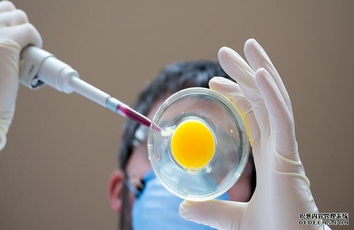 无锡助孕医院贵不贵 无锡生育津贴查询方式 ‘男孕囊和女孕囊的区别’