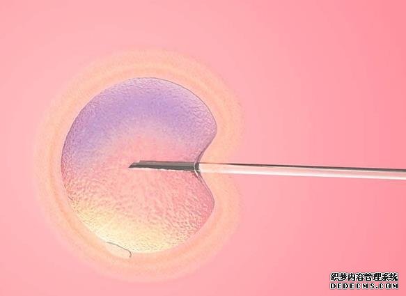 西安卖卵 西安市第四医院试管医生推荐： ‘怎样通过三维彩超报告看是男是女’