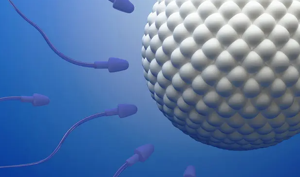 重庆供卵试管过程 重庆全市推行婚育证明电子化政策 ‘代孕初期胎囊在宫腔右侧和怀男女有关系吗’