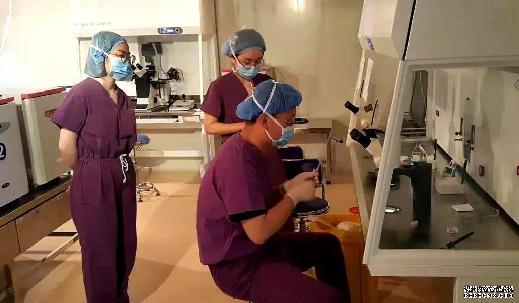 深圳代孕哪家医院最专业 深圳做试管婴儿费用是多少? ‘胎儿b超男女’