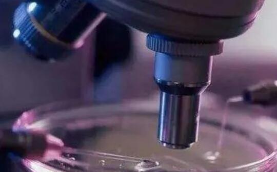 唐山供卵试管 河北唐山妇幼生殖科能供精做三代试管婴儿吗? ‘男宝宝特征’