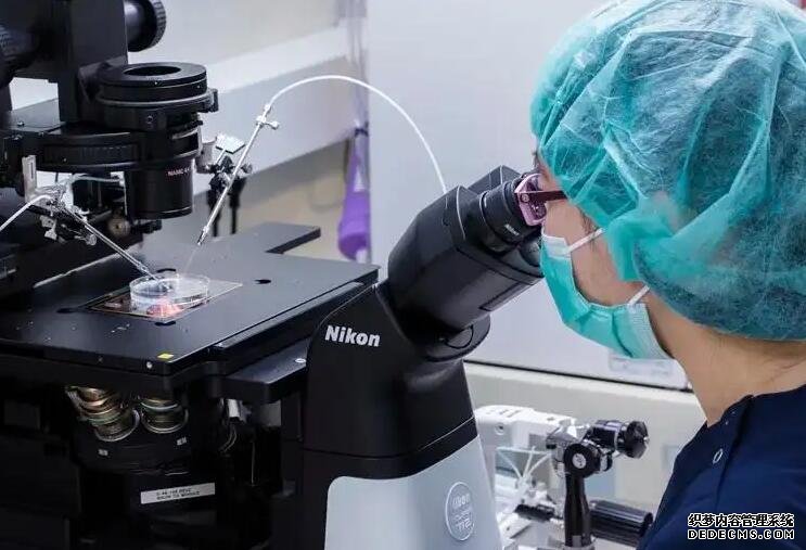 海口供卵价格 海口哪家医院可以做三代试管婴儿? ‘b超什么数据看出男孩女孩’