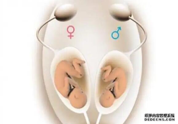 试管婴儿技术能够实现性别筛选，但需在特定情况下