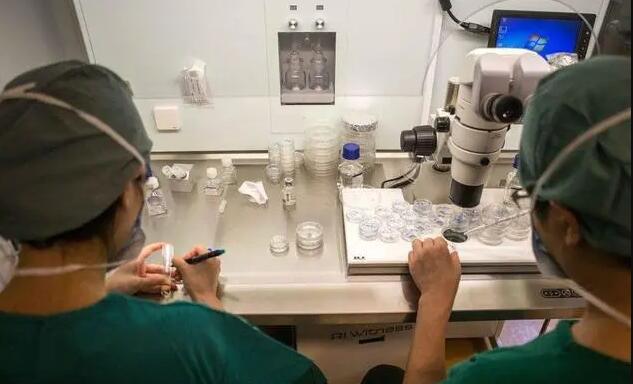 廊坊试管供卵 廊坊不孕不育的医院哪家排名高？治疗费用贵吗 ‘孕早期b超比实际孕周大一周会男孩’