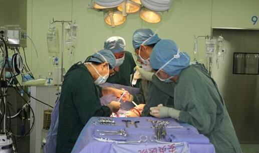 上海试管价格 试管助孕详细：2023在上海做试管成功率多少？ ‘3个月彩超怎么看男孩女孩三个月的彩超’