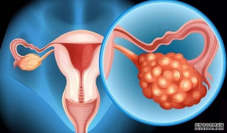 重庆借卵子生子成功率是多少 2022重庆供卵三代试管婴儿多少钱,附试管医院及供卵费用明细清单 ‘怀男孩和女孩的初期症状’