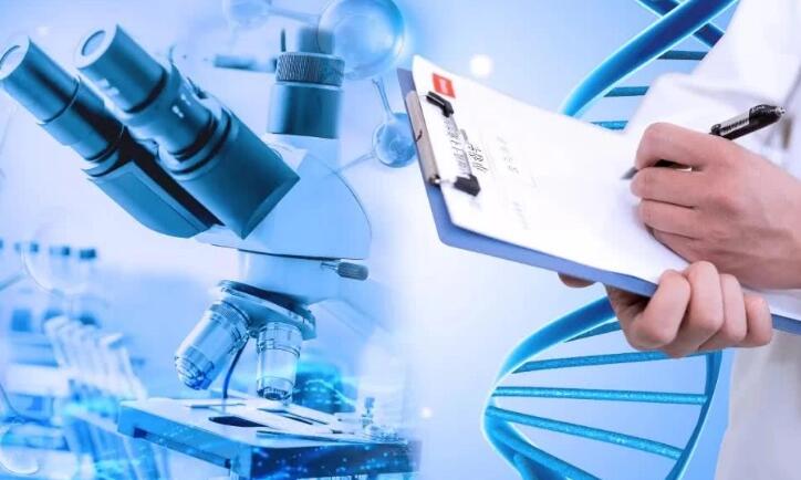 连云港供卵试管 最新连云港试管婴儿医院排名 ‘b超看男女85%的准确率!’